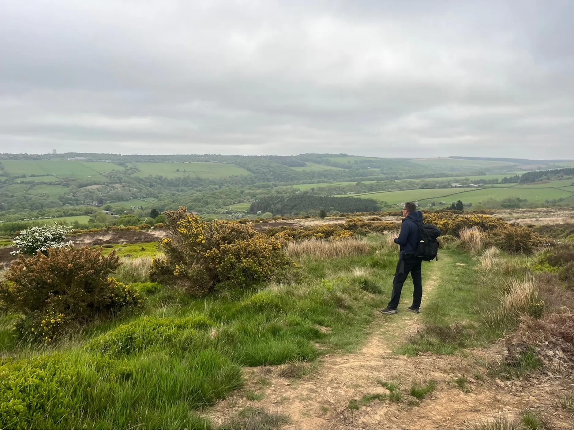 Samo Rugelj, ki na vrhu hriba gleda na zeleno dolino